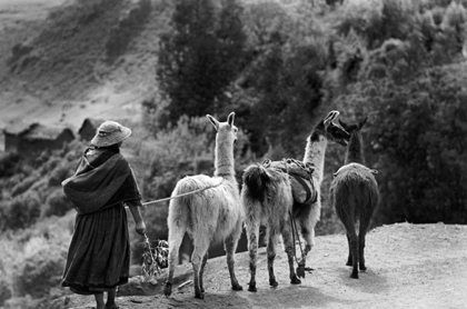 portfolio Werner Bischof